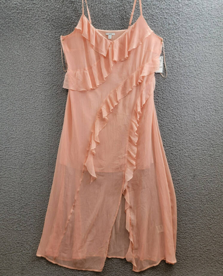Bar III Trendy Plus Size Ruffled Chiffon Maxi Dress Women's 16W Warm Coral Sheer