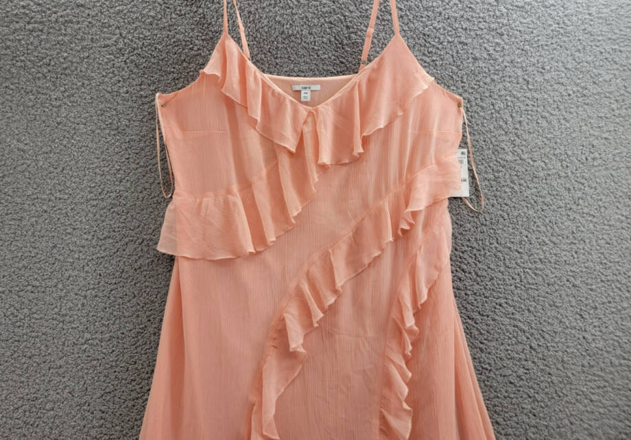 Bar III Trendy Plus Size Ruffled Chiffon Maxi Dress Women's 16W Warm Coral Sheer