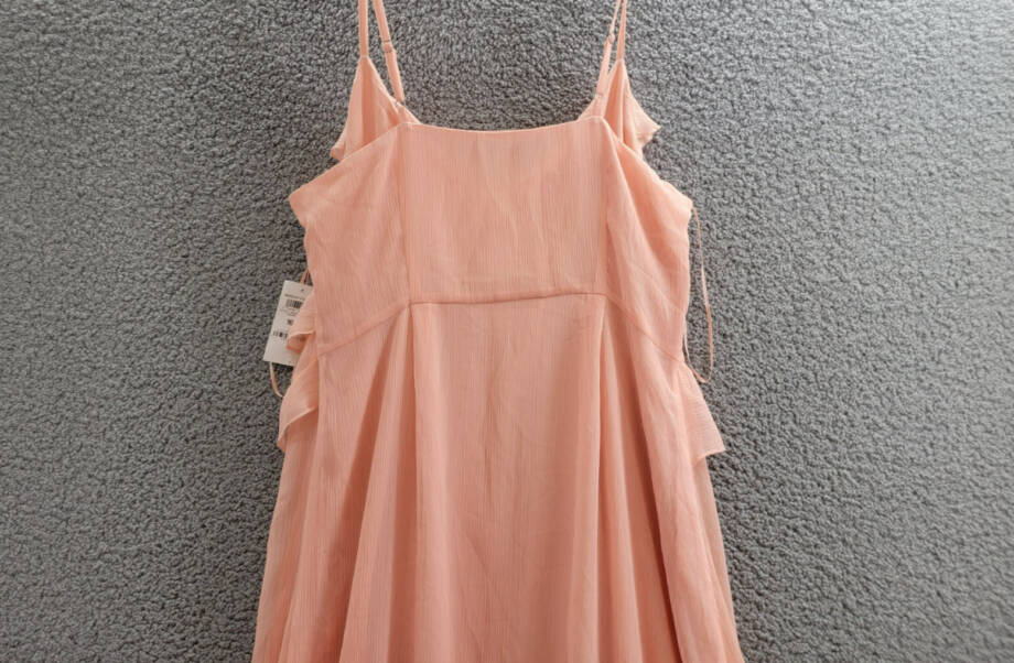 Bar III Trendy Plus Size Ruffled Chiffon Maxi Dress Women's 16W Warm Coral Sheer