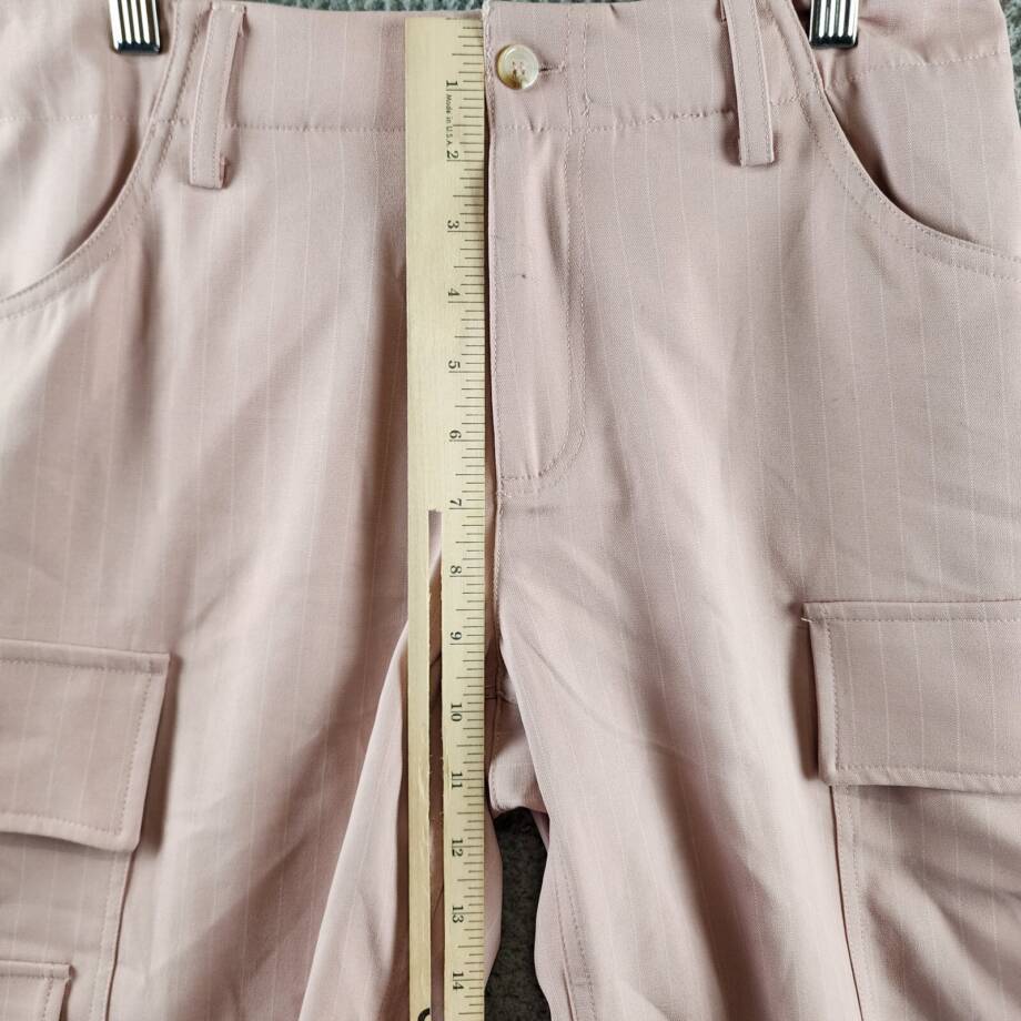Walter Baker Theo Shorts Women's 2 Cagney Stripe Blush Zip/Button Closure