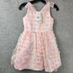 Blush By Us Angels 3D Floral Mesh Sleeveless Dress Girl's 7 Multi Back Zip