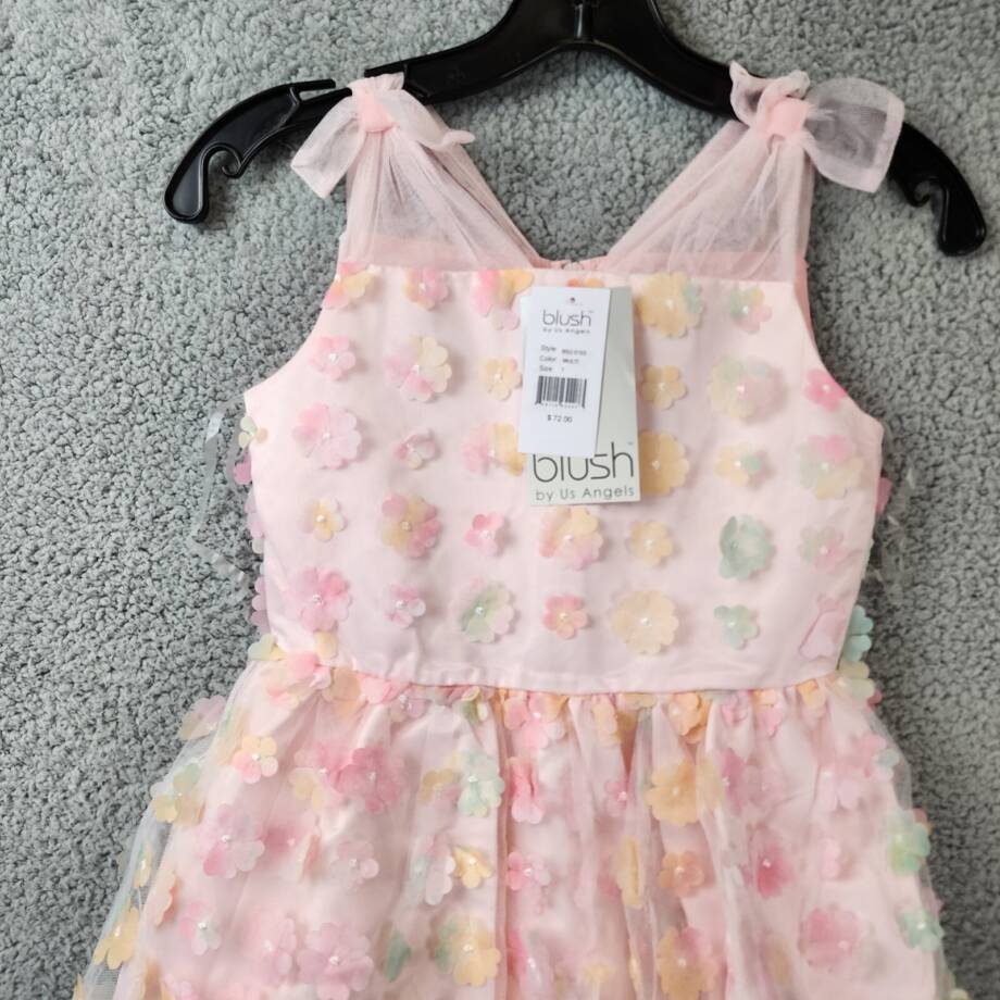 Blush By Us Angels 3D Floral Mesh Sleeveless Dress Girl's 7 Multi Back Zip
