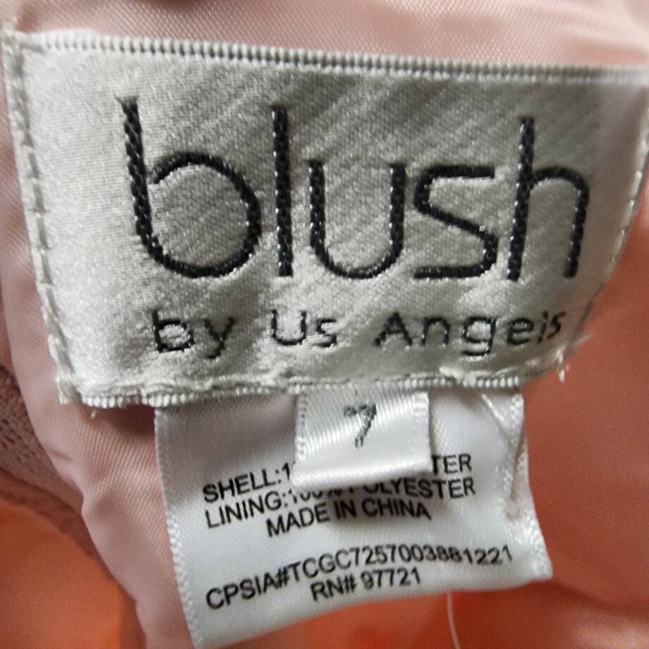Blush By Us Angels 3D Floral Mesh Sleeveless Dress Girl's 7 Multi Back Zip
