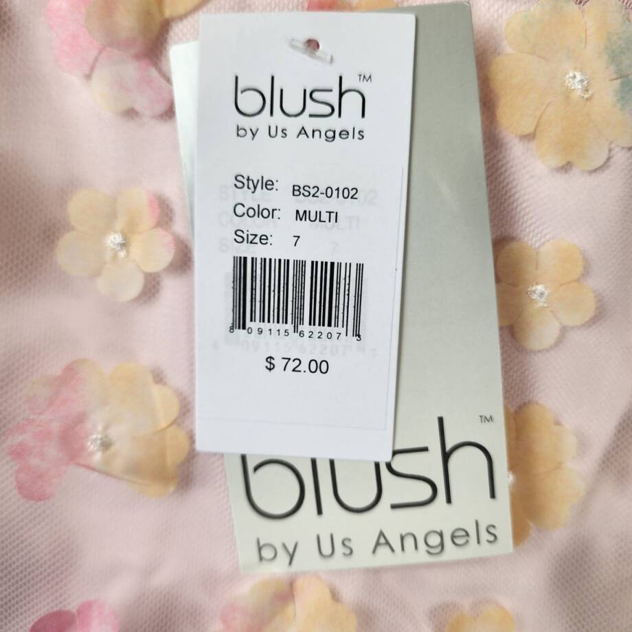 Blush By Us Angels 3D Floral Mesh Sleeveless Dress Girl's 7 Multi Back Zip