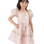 Rare Editions Puff-Sleeve Burnout Organza Dress Little Girls' 6 Blush Back Zip