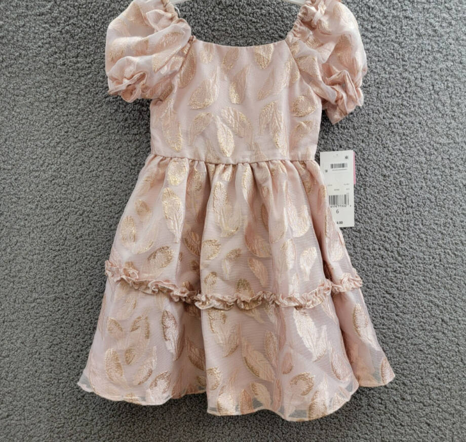 Rare Editions Puff-Sleeve Burnout Organza Dress Little Girls' 6 Blush Back Zip