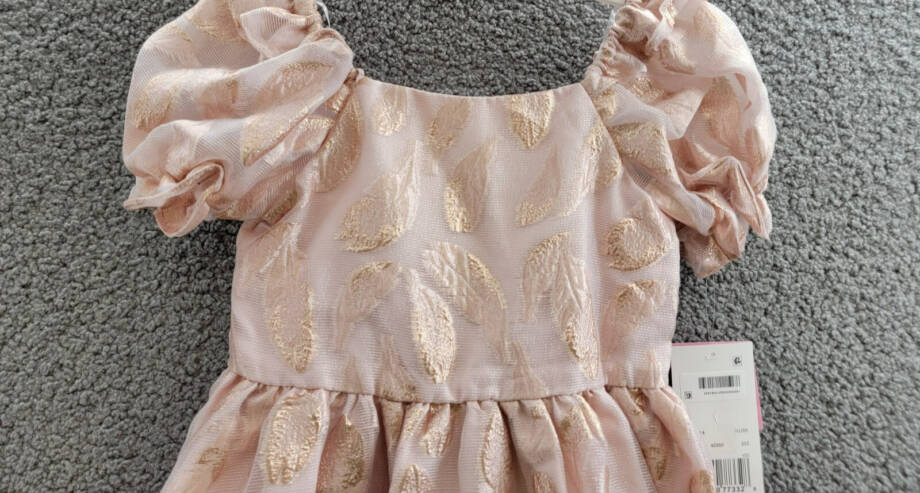 Rare Editions Puff-Sleeve Burnout Organza Dress Little Girls' 6 Blush Back Zip