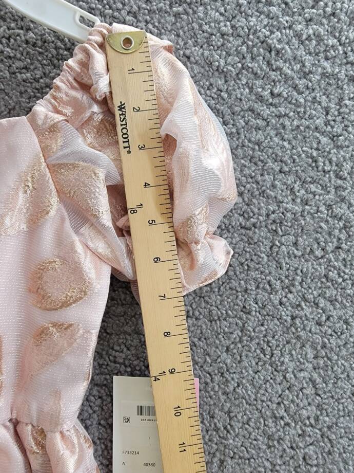 Rare Editions Puff-Sleeve Burnout Organza Dress Little Girls' 6 Blush Back Zip