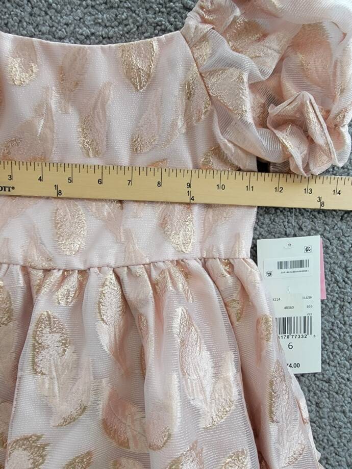 Rare Editions Puff-Sleeve Burnout Organza Dress Little Girls' 6 Blush Back Zip
