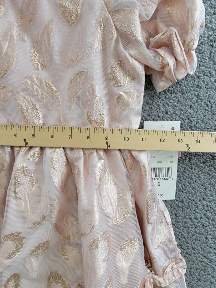 Rare Editions Puff-Sleeve Burnout Organza Dress Little Girls' 6 Blush Back Zip