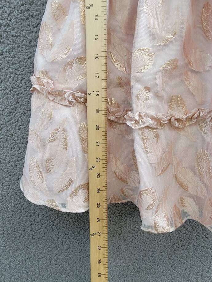 Rare Editions Puff-Sleeve Burnout Organza Dress Little Girls' 6 Blush Back Zip