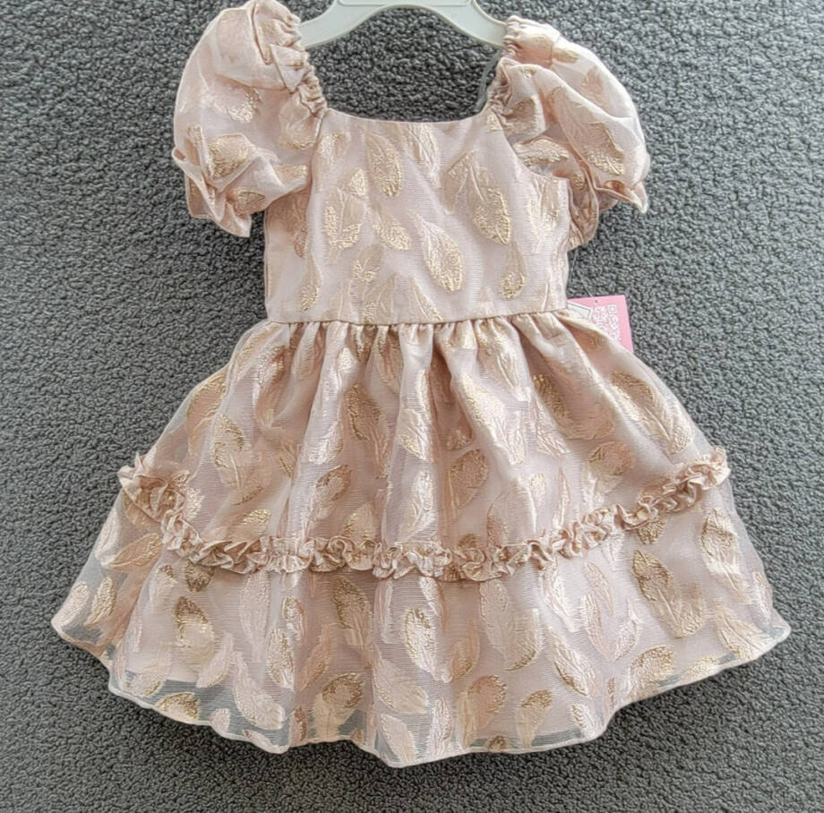 Rare Editions Puff-Sleeve Burnout Organza Dress Little Girls' 5 Blush Back Zip