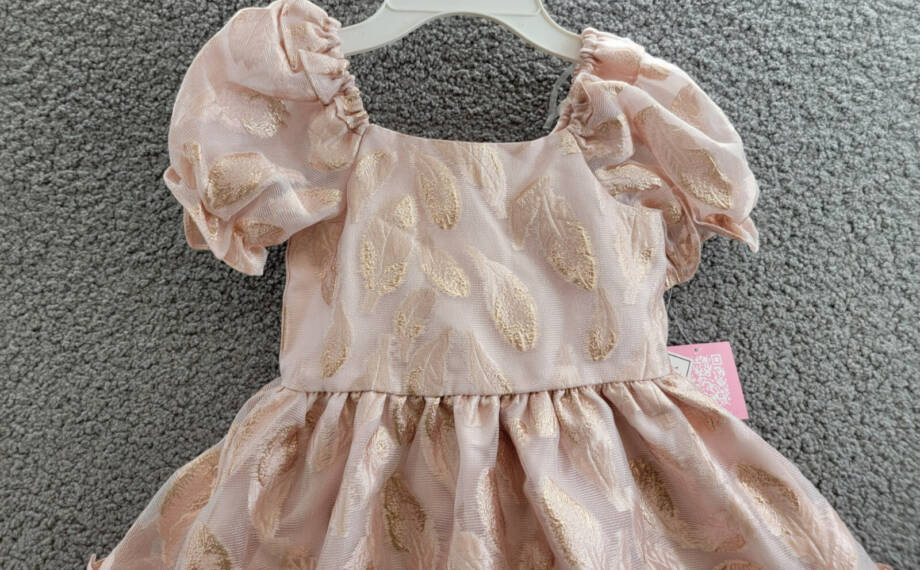 Rare Editions Puff-Sleeve Burnout Organza Dress Little Girls' 5 Blush Back Zip