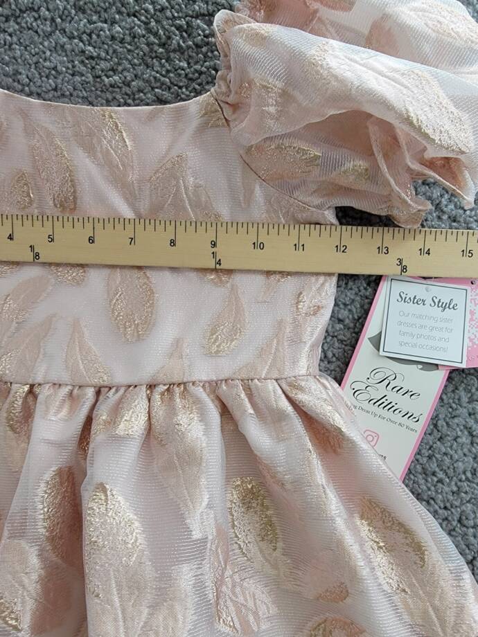 Rare Editions Puff-Sleeve Burnout Organza Dress Little Girls' 5 Blush Back Zip