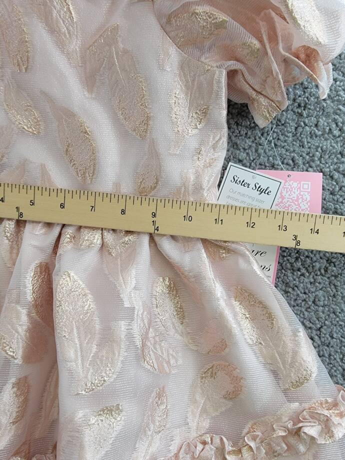 Rare Editions Puff-Sleeve Burnout Organza Dress Little Girls' 5 Blush Back Zip