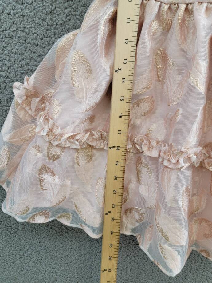 Rare Editions Puff-Sleeve Burnout Organza Dress Little Girls' 5 Blush Back Zip