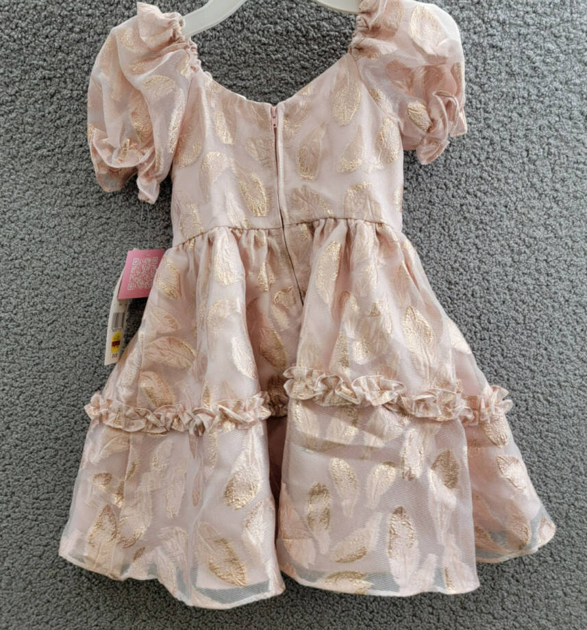 Rare Editions Puff-Sleeve Burnout Organza Dress Little Girls' 5 Blush Back Zip