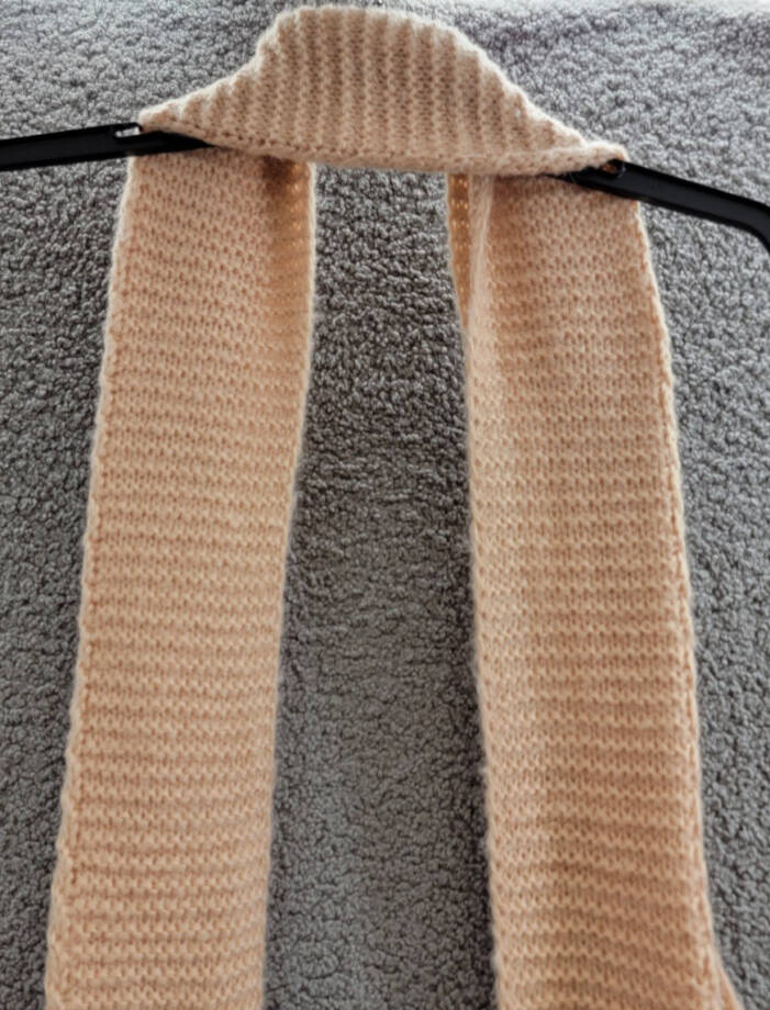 Marcus Adler Ultra Soft Fringe-Trim Winter Scarf Women's One Size Blush