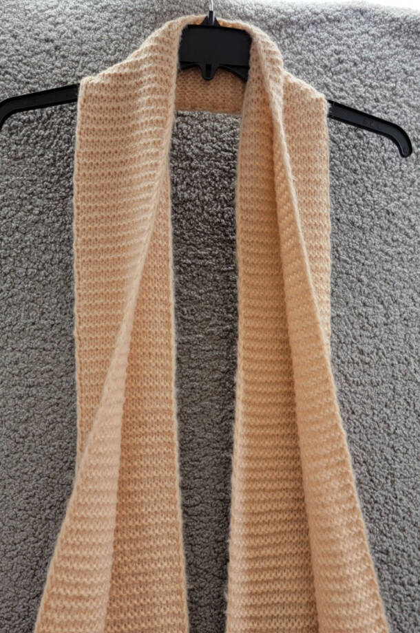 Marcus Adler Ultra Soft Fringe-Trim Winter Scarf Women's One Size Blush
