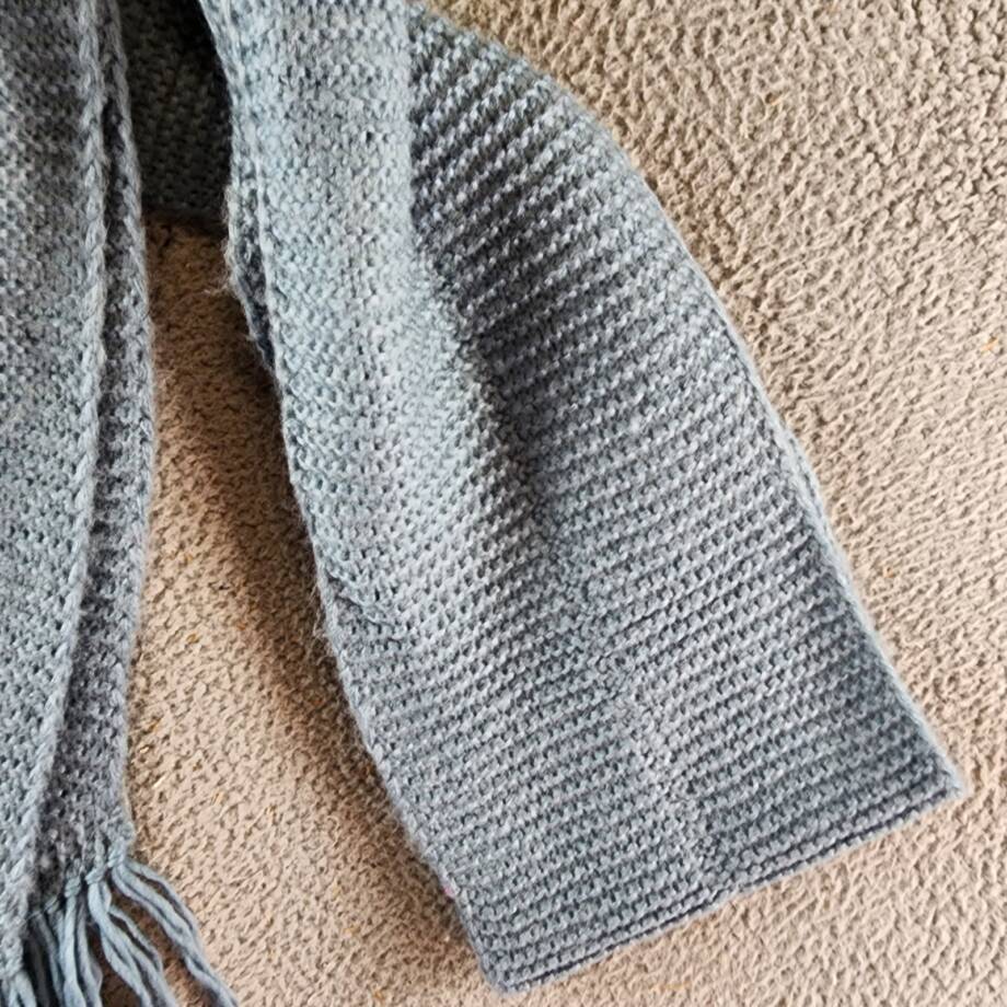 Marcus Adler Ultra Soft Fringe-Trim Winter Scarf Women's One Size Blue
