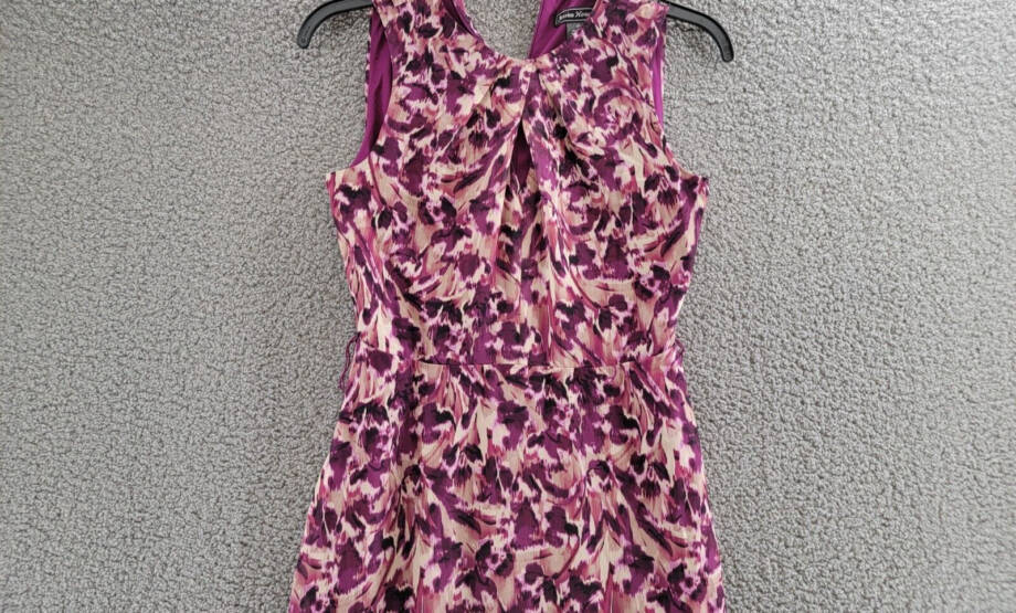 Jessica Howard Petite Printed Fit & Flare Dress Womens 6P Berry Back Zip Closure