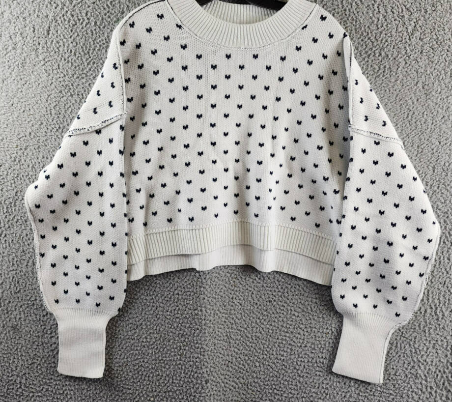 Free People Patterned Easy Street Boxy Cropped Sweater Women's M White/Navy L/S