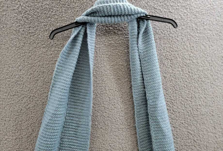 Marcus Adler Ultra Soft Fringe-Trim Winter Scarf Women's One Size Blue