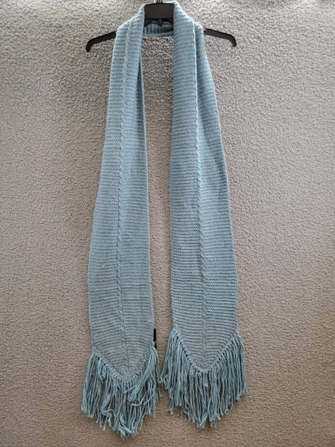 Marcus Adler Ultra Soft Fringe-Trim Winter Scarf Women's One Size Blue