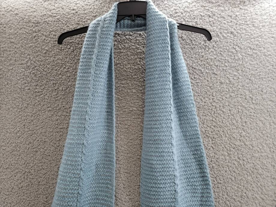 Marcus Adler Ultra Soft Fringe-Trim Winter Scarf Women's One Size Blue