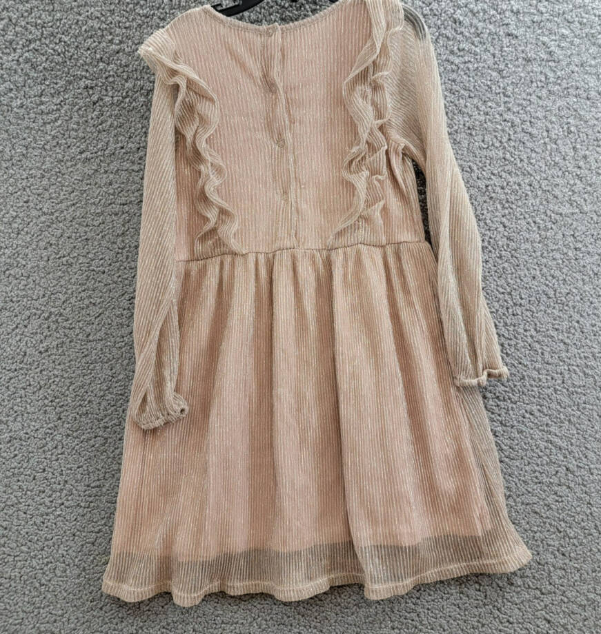 Splendid Glitzy Pleated Tulle Dress Girls' 5 Champagne Round Neck Back Snap L/S