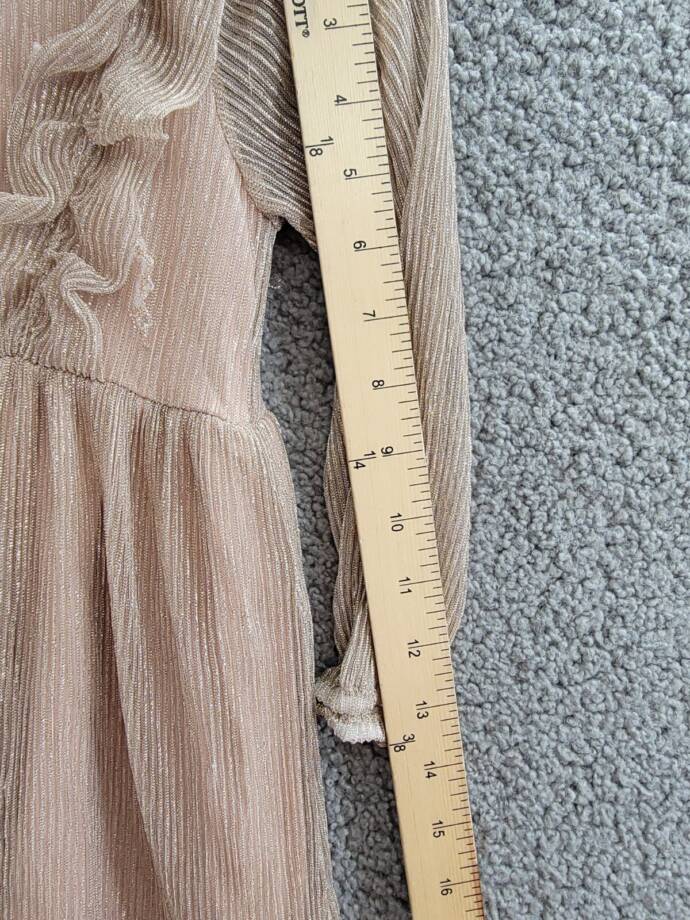 Splendid Glitzy Pleated Tulle Dress Little Girls 2T Champagne Snap Closure