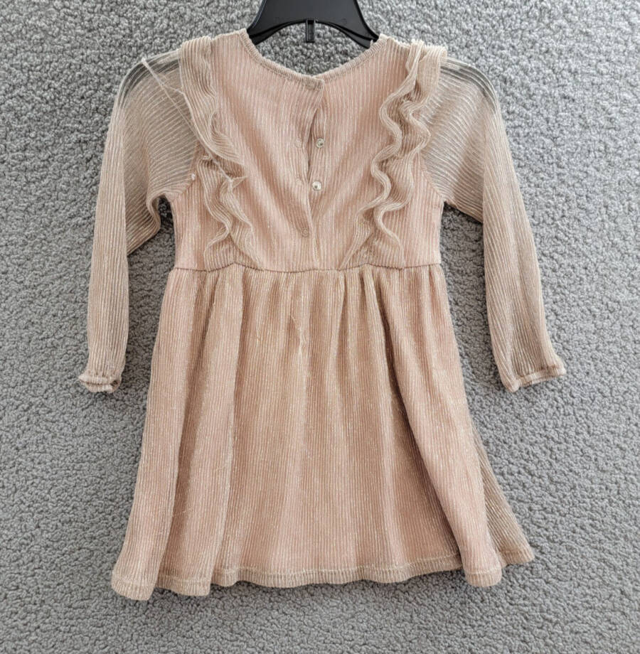 Splendid Glitzy Pleated Tulle Dress Little Girls 2T Champagne Snap Closure