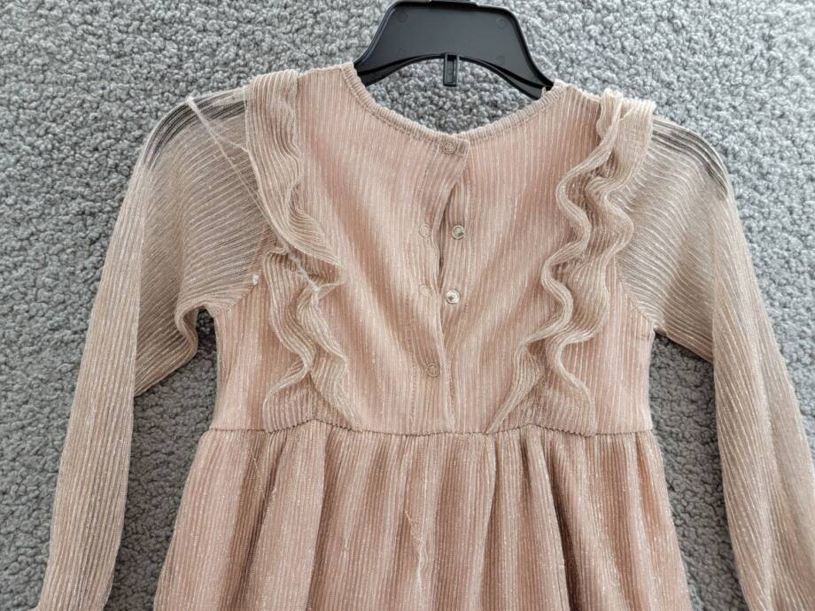 Splendid Glitzy Pleated Tulle Dress Little Girls 2T Champagne Snap Closure