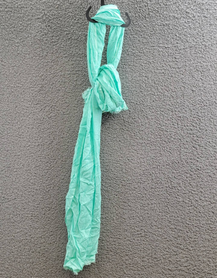 On 34th Soft Sheen Fringe-Trim Scarf Women's One Size Turquoise