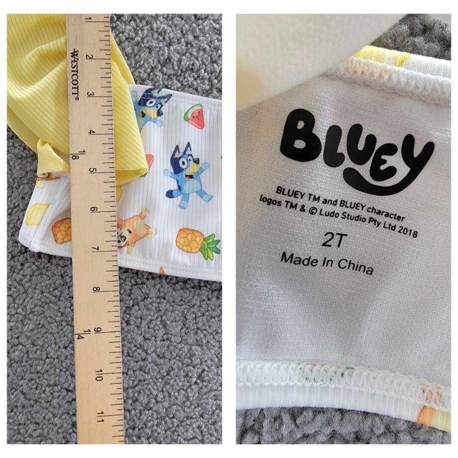 Bluey Printed Swimsuit 2 Piece Set Toddler Girls 2T White Multi Square Neck