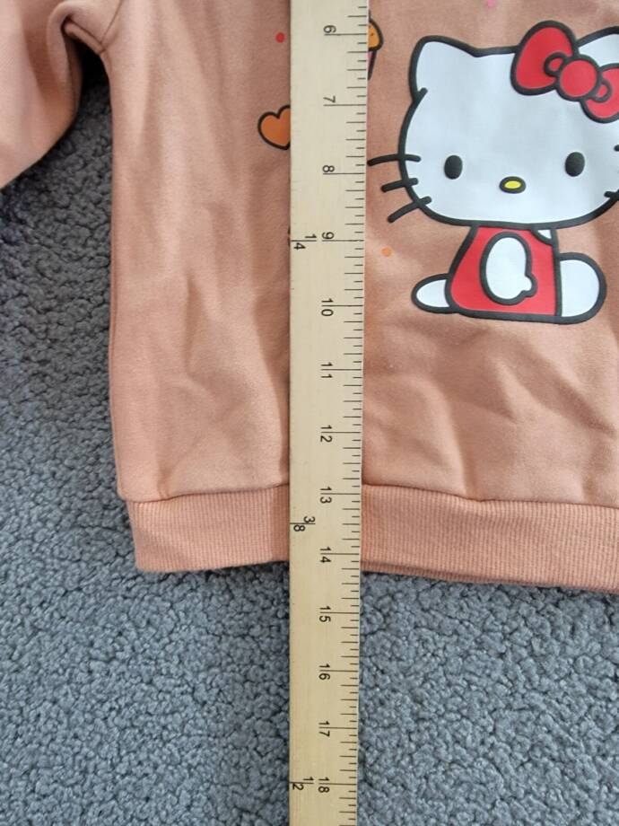 Hello Kitty Long Sleeve Ruffle Sweatshirt Toddler Girls 3T Brown Multi Crew Neck