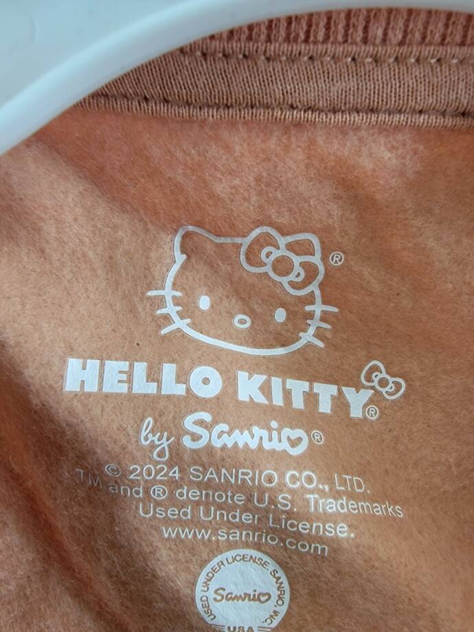 Hello Kitty Long Sleeve Ruffle Sweatshirt Toddler Girls 3T Brown Multi Crew Neck