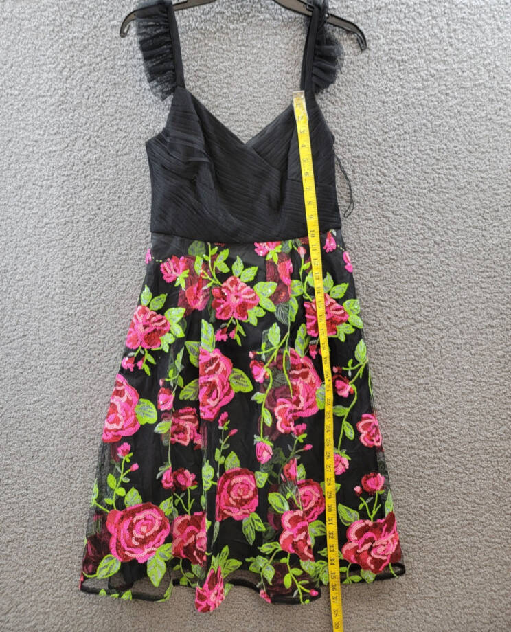 Adrianna Papell Rose-Embroidered-Mesh Dress Women's 6 Pink Green Multi Back Zip