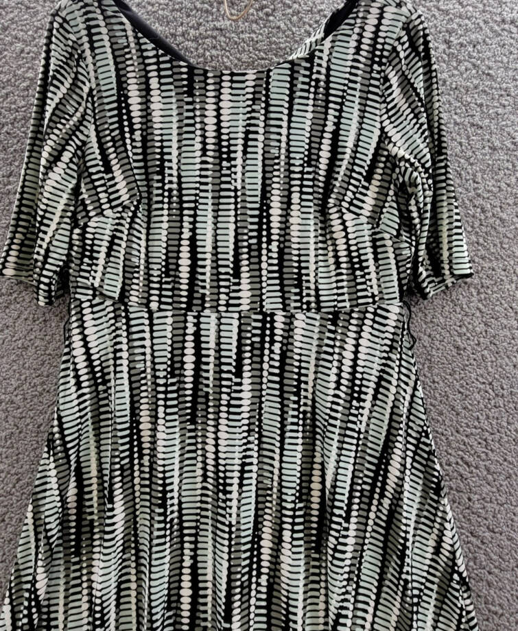 Kasper Petite Printed Fit & Flare Dress Women's 6P Multicolor Back Zip Closure